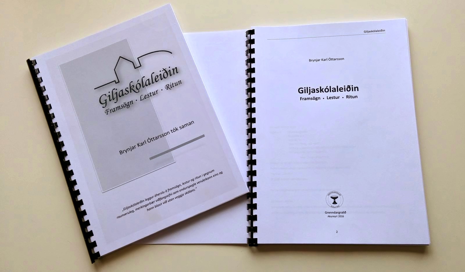 Skýrsla Giljaskólaleiðarinnar