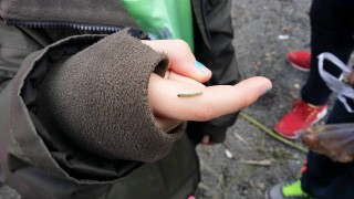 5. bekkur í náttúrufræði í Rjóðrinu