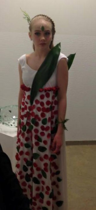 Furðuverk - hönnunarkeppni