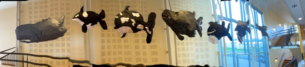 Hvalaþema í 4. bekk