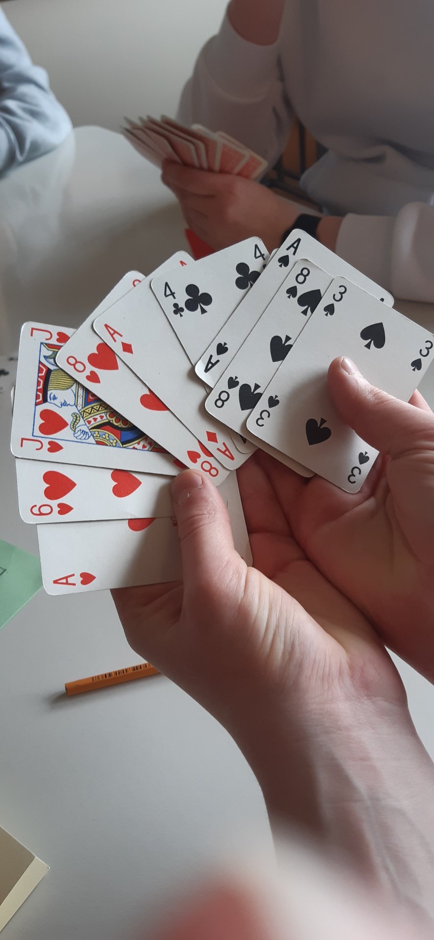 Spilavist unglingastigs