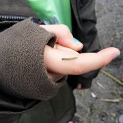 5. bekkur í náttúrufræði í Rjóðrinu