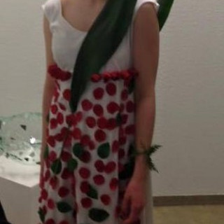 Furðuverk - hönnunarkeppni